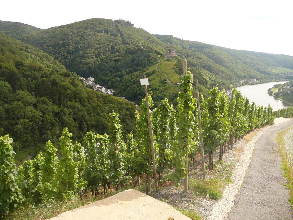 Gaestehaus Ehses ベルンカステル・クース エクステリア 写真